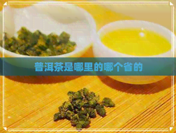 普洱茶是哪里的哪个省的