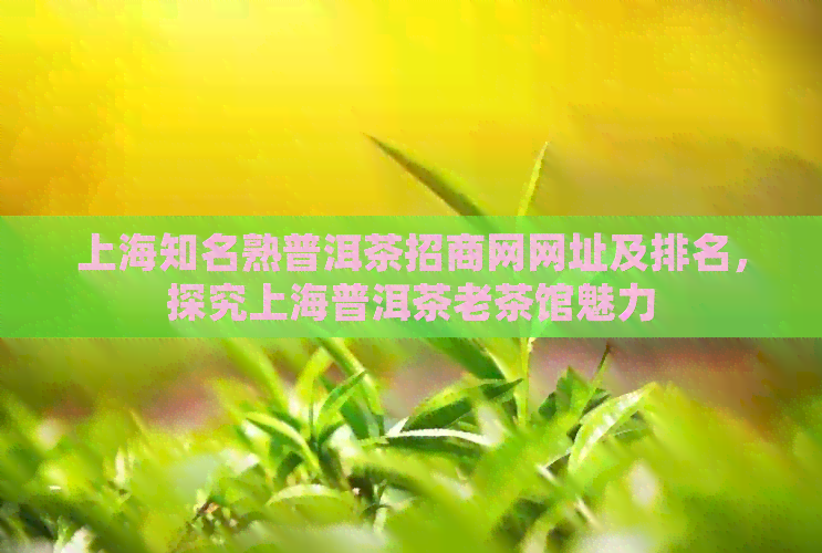 上海知名熟普洱茶招商网网址及排名，探究上海普洱茶老茶馆魅力