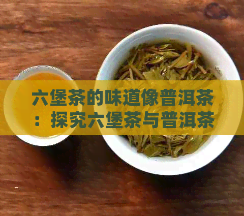 六堡茶的味道像普洱茶：探究六堡茶与普洱茶的味道相似之处