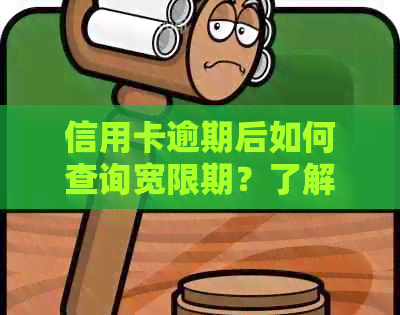 信用卡逾期后如何查询宽限期？了解这些关键信息，避免影响信用记录！