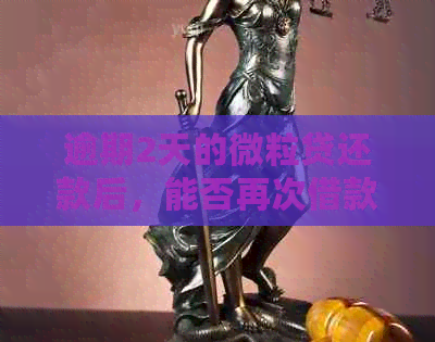 逾期2天的微粒贷还款后，能否再次借款并一次性还清？