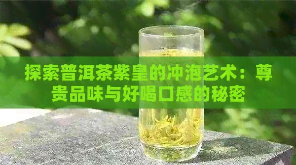 探索普洱茶紫皇的冲泡艺术：尊贵品味与好喝口感的秘密