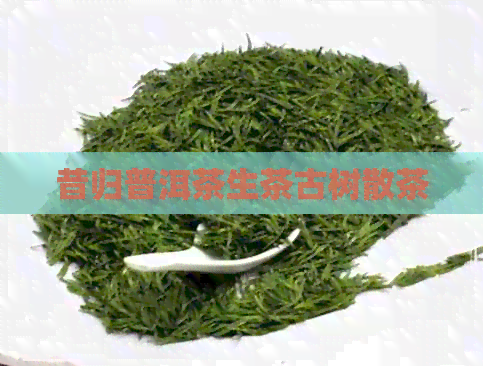 昔归普洱茶生茶古树散茶