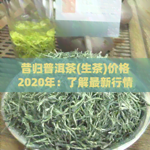 昔归普洱茶(生茶)价格2020年：了解最新行情与品质