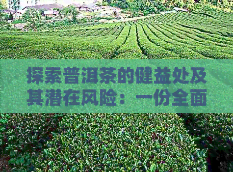 探索普洱茶的健益处及其潜在风险：一份全面指南