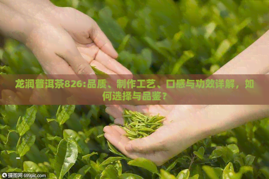 龙润普洱茶826:品质、制作工艺、口感与功效详解，如何选择与品鉴？