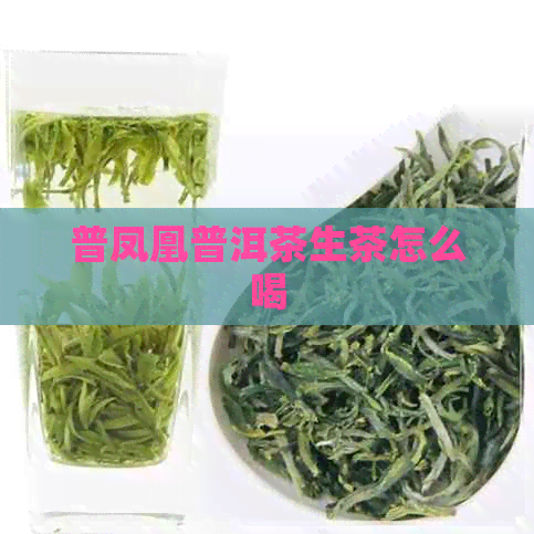 普凤凰普洱茶生茶怎么喝