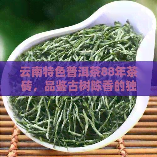 云南特色普洱茶88年茶砖，品鉴古树陈香的独特魅力与价值