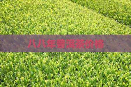 八八年普洱茶价格