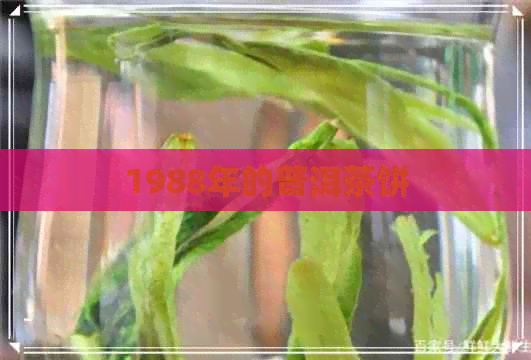 1988年的普洱茶饼