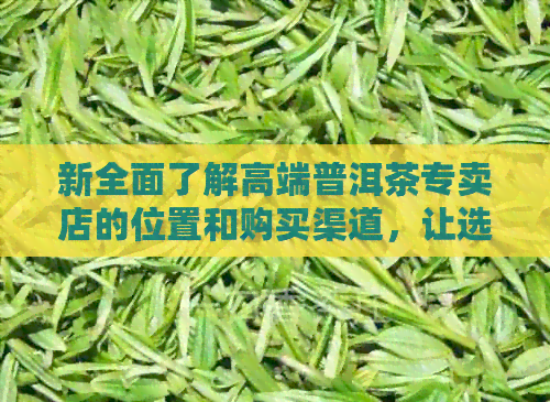 新全面了解高端普洱茶专卖店的位置和购买渠道，让选购更轻松！