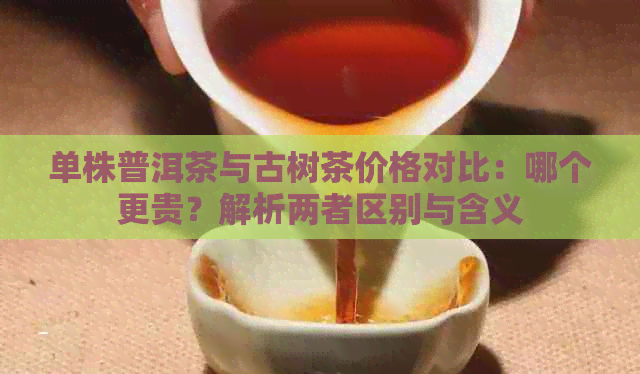 单株普洱茶与古树茶价格对比：哪个更贵？解析两者区别与含义