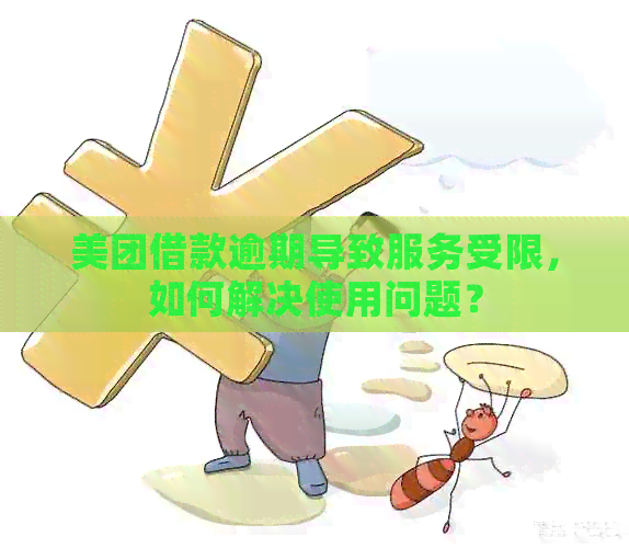 美团借款逾期导致服务受限，如何解决使用问题？