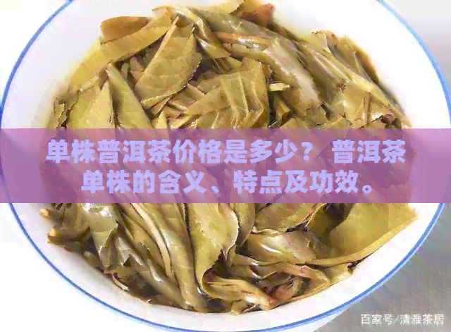 单株普洱茶价格是多少？ 普洱茶单株的含义、特点及功效。