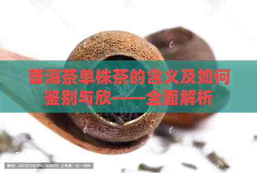 普洱茶单株茶的含义及如何鉴别与欣——全面解析