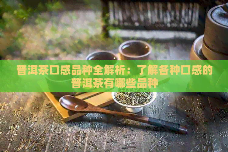 普洱茶口感品种全解析：了解各种口感的普洱茶有哪些品种