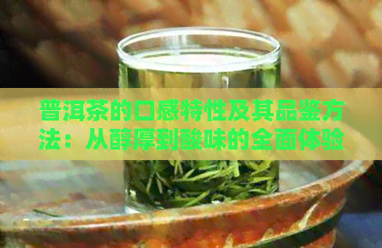 普洱茶的口感特性及其品鉴方法：从醇厚到酸味的全面体验