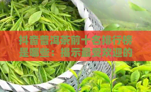 抖音普洱茶前十名排行榜是哪些：揭示更受欢迎的十大及名字