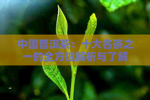 中国普洱茶：十大名茶之一的全方位解析与了解