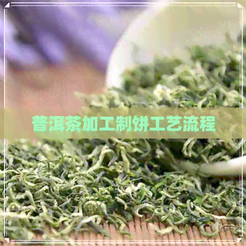 普洱茶加工制饼工艺流程