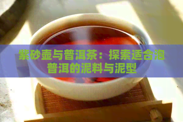 紫砂壶与普洱茶：探索适合泡普洱的泥料与泥型