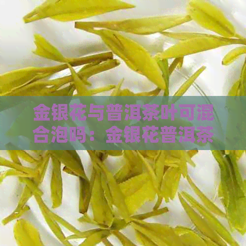 金银花与普洱茶叶可混合泡吗：金银花普洱茶泡水喝的好处及功效