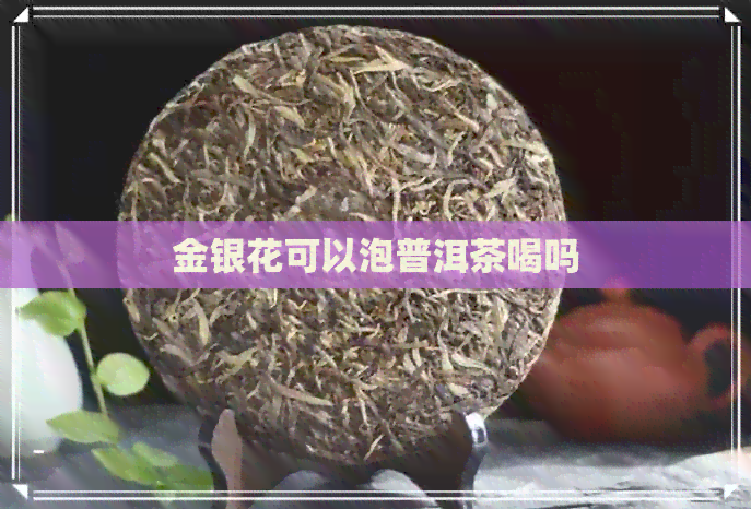 金银花可以泡普洱茶喝吗