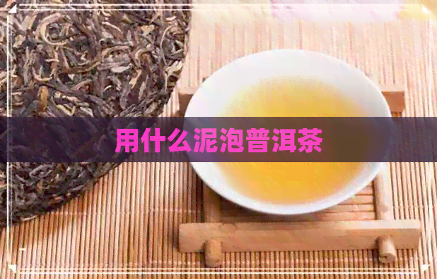 用什么泥泡普洱茶