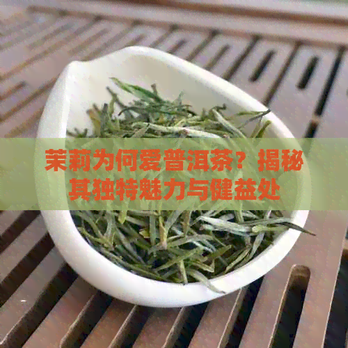 茉莉为何爱普洱茶？揭秘其独特魅力与健益处