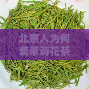 北京人为何爱茉莉花茶：品味传统与优雅的融合