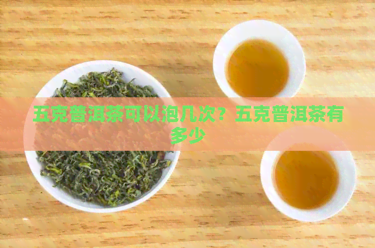 五克普洱茶可以泡几次？五克普洱茶有多少