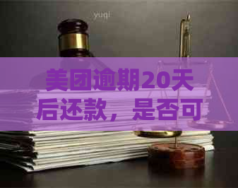 美团逾期20天后还款，是否可以再次借款？生活小贴士揭秘！