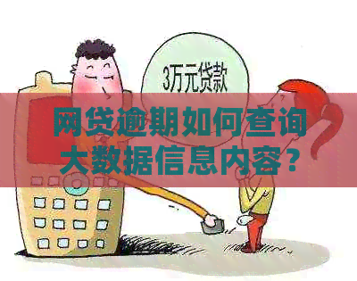 网贷逾期如何查询大数据信息内容？