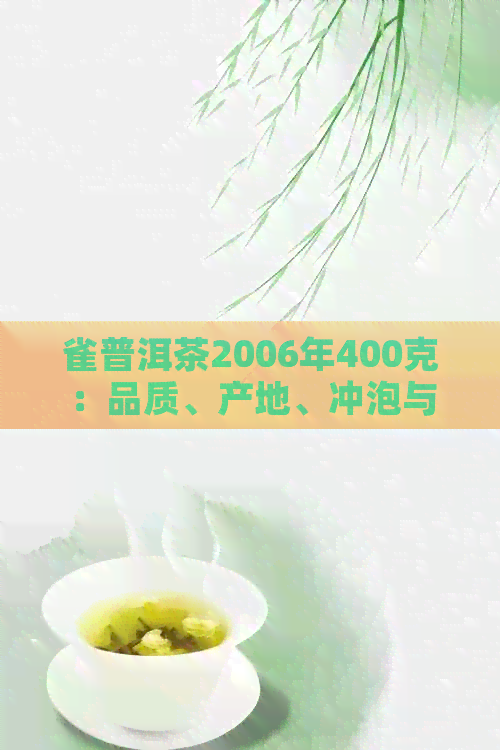 雀普洱茶2006年400克：品质、产地、冲泡与收藏全面解析