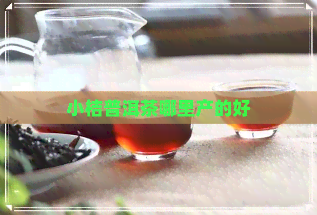 小桔普洱茶哪里产的好