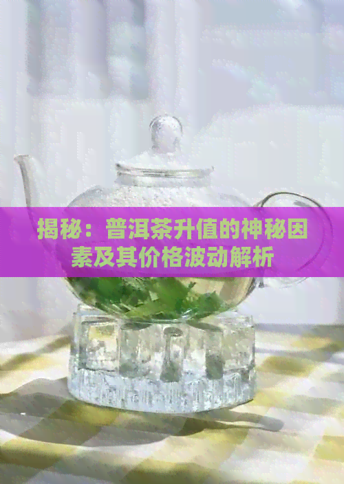 揭秘：普洱茶升值的神秘因素及其价格波动解析