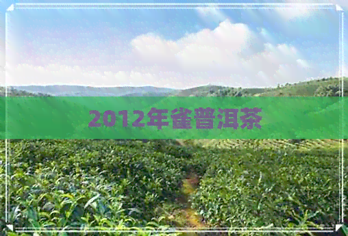 2012年雀普洱茶