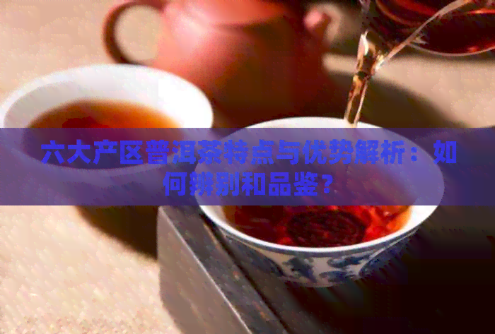 六大产区普洱茶特点与优势解析：如何辨别和品鉴？