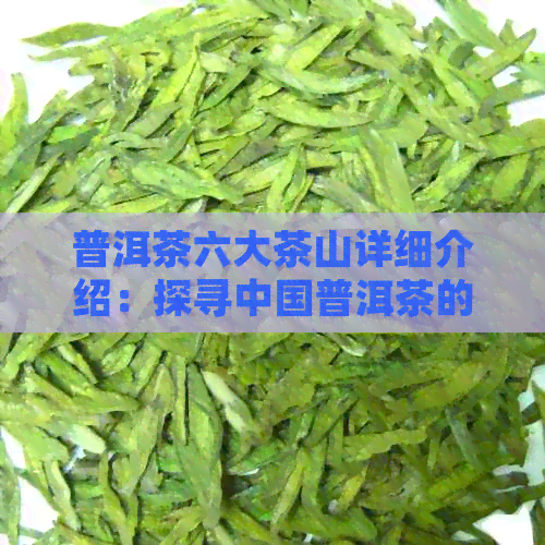 普洱茶六大茶山详细介绍：探寻中国普洱茶的产地与特色