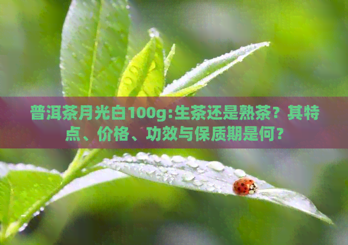 普洱茶月光白100g:生茶还是熟茶？其特点、价格、功效与保质期是何？