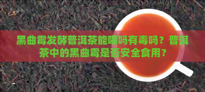 黑曲霉发酵普洱茶能喝吗有吗？普洱茶中的黑曲霉是否安全食用？