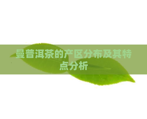 曼普洱茶的产区分布及其特点分析