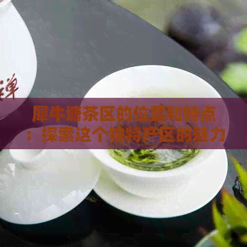 犀牛塘茶区的位置和特点：探索这个独特产区的魅力