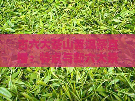 古六大茶山普洱茶直播：特点与新六大茶山对比