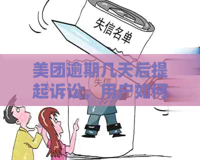 美团逾期几天后提起诉讼，用户如何应对？诉讼成功后的处理方法和影响全解析