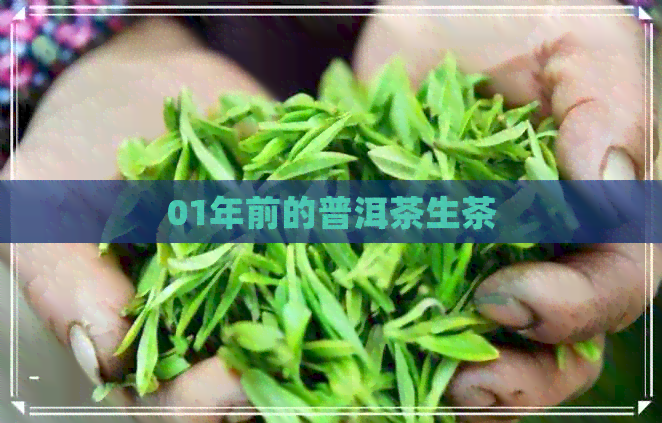 01年前的普洱茶生茶