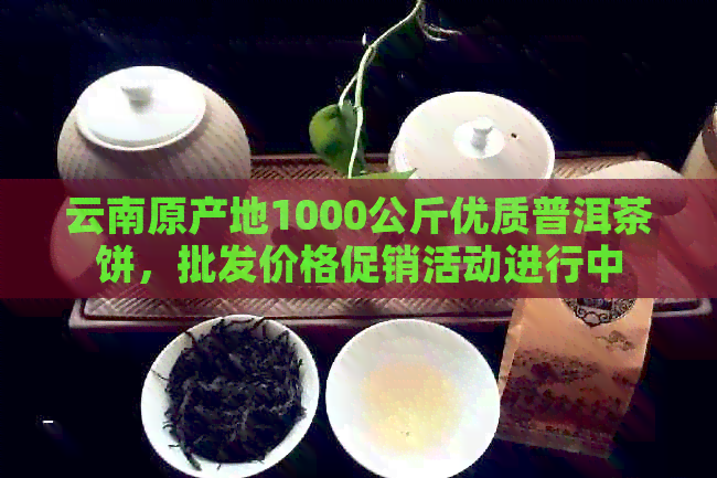 云南原产地1000公斤优质普洱茶饼，批发价格促销活动进行中