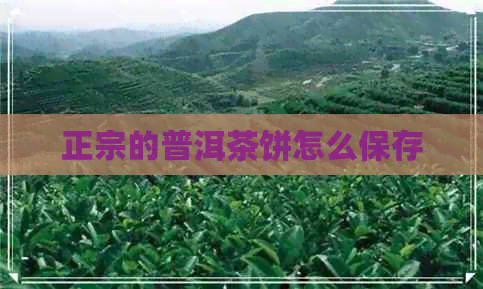 正宗的普洱茶饼怎么保存