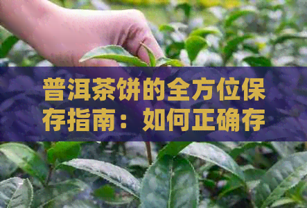 普洱茶饼的全方位保存指南：如何正确存以保持其品质和口感