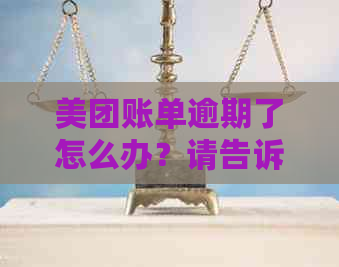 美团账单逾期了怎么办？请告诉我，我很担心。